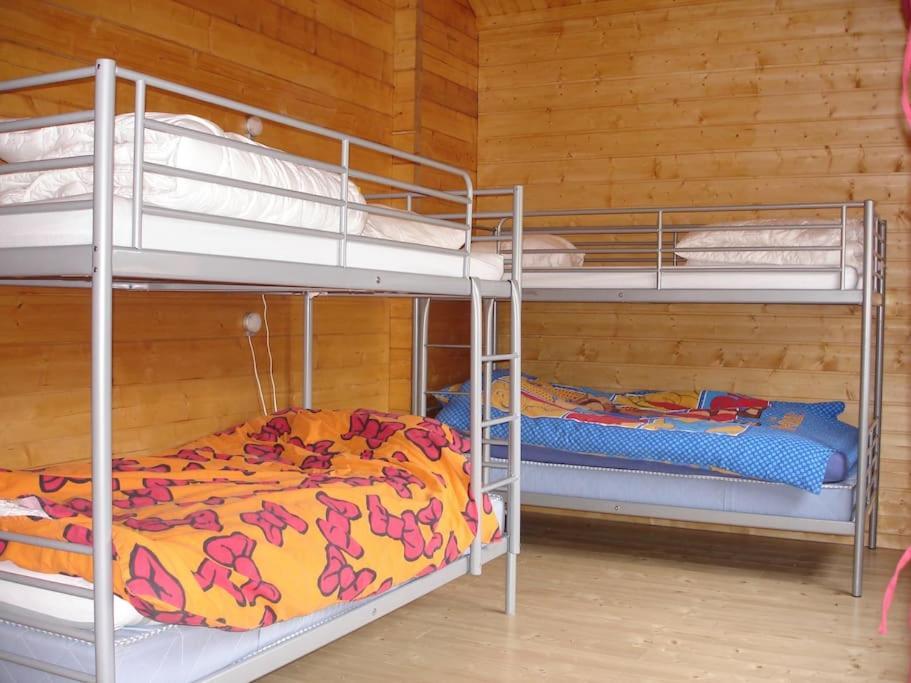 Grand Valtin : Chalet Ecolo 4 Etoiles 14 Personnes Ban-sur-Meurthe-Clefcy Extérieur photo